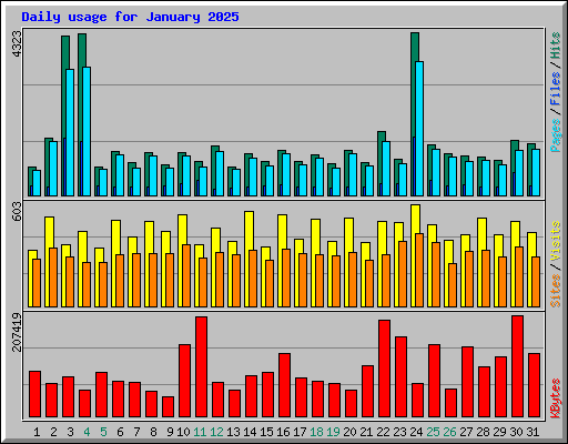 Daily usage for January 2025